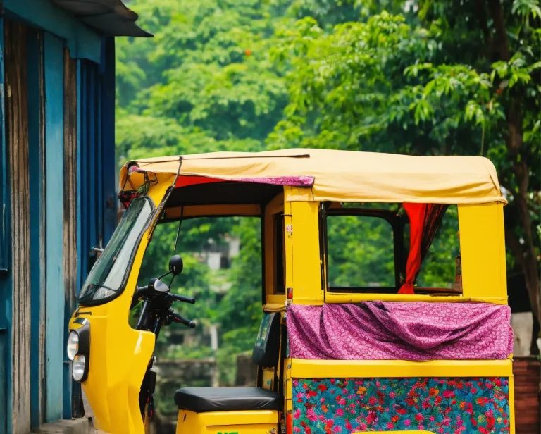 Cng auto rickshaw and easy bike auto rickshaw of b (1)